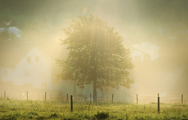 ddos网页在线攻击